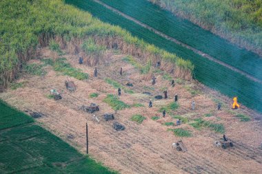 Teb üzerinde sıcak hava balonu turu, şeker kamışı çiftçilerinin manzarası, Mısır