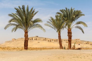 Al Bagawat 'ın antik Hıristiyan mezarlığı, tüm mezarlığın manzarası, önünde iki palmiye, Mısır
