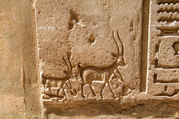 古代エジプトのホルス寺院 エドフの壁にヤギの母親と子供の美しい彫刻 — ストック写真