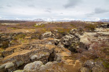 İzlanda 'daki Thingvellir Ulusal Parkı' nda yosunlarla kaplanmış yarık.