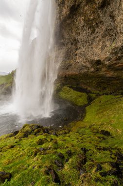 Sabahın erken saatlerinde Seljalandsfoss Şelalesinde, Altın Daire, İzlanda