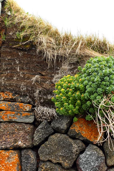 Case Erba Costruite Modo Tradizionale Islanda Del Nord — Foto Stock