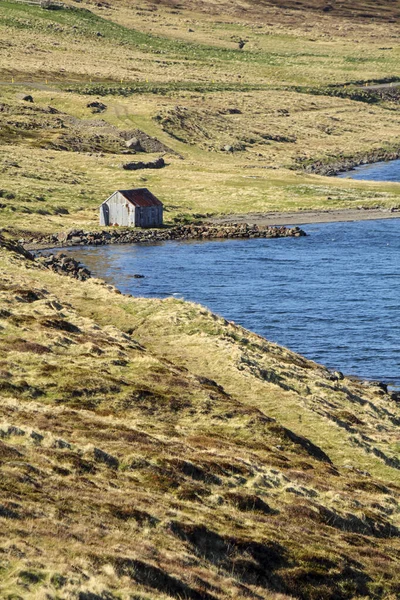 Régi Csődör Egy Fjord Partjainál Izland Westfjordjaiban — Stock Fotó