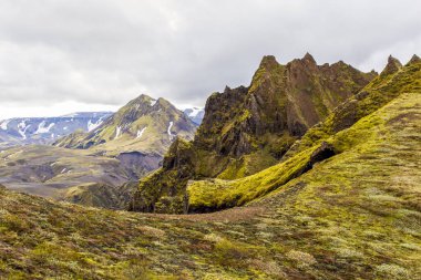 İzlanda 'daki eşsiz İzlanda manzarası Thorsmoerk' in etrafında