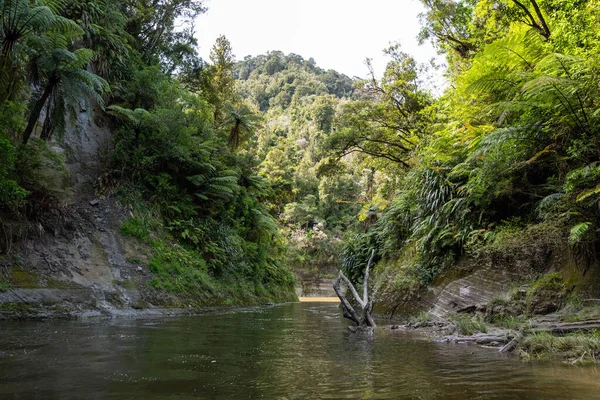 Wycieczka Nietkniętej Rzece Whanganui Przez Otaczającą Dżunglę North Island New — Zdjęcie stockowe