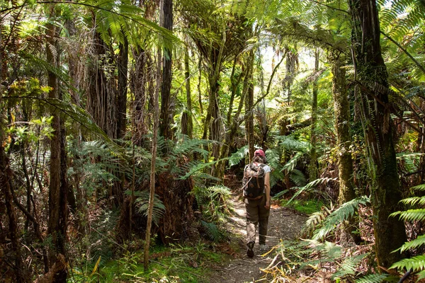 Túra Érintetlen Whanganui Folyón Környező Dzsungelen Keresztül Zéland Északi Szigetén — Stock Fotó