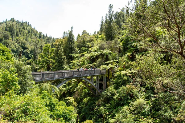 El değmemiş Whanganui nehri ve Yeni Zelanda 'nın kuzey adası çevresindeki ormanlarda bir tur.