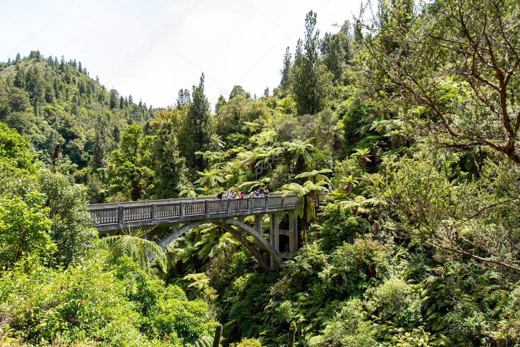 Tour on untouched Whanganui river and through surrounding jungle, North Island of New Zealand