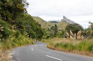Whanganui bölgesinde kıvrımlı bir cadde, Yeni Zelanda
