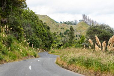 Whanganui bölgesinde kıvrımlı bir cadde, Yeni Zelanda