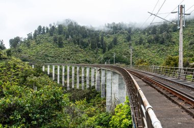 Eski otobüs yolunda tren rayları, Yeni Zelanda 'nın Kuzey Adası' ndaki ünlü dağ bisikleti rotası.