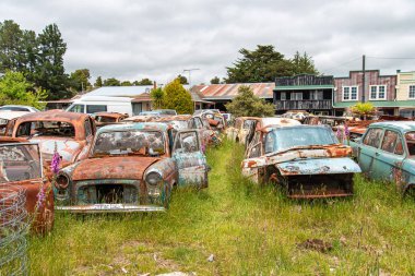 Eski Koç Yolu 'nun sonunda, Yeni Zelanda' nın Kuzey Adası 'ndaki hurdalıkta antika arabalar.
