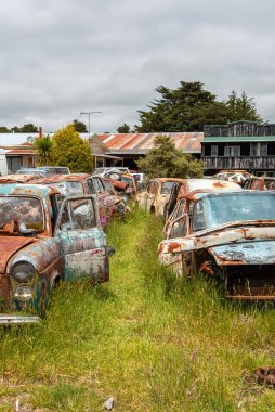 Eski Koç Yolu 'nun sonunda, Yeni Zelanda' nın Kuzey Adası 'ndaki hurdalıkta antika arabalar.