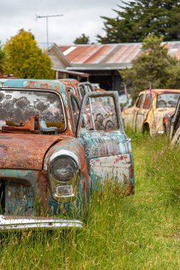 Eski Koç Yolu 'nun sonunda, Yeni Zelanda' nın Kuzey Adası 'ndaki hurdalıkta antika arabalar.