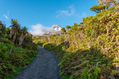 Güneşli bir yaz gününde Taranaki Dağı 'nda yürüyüş, Yeni Zelanda
