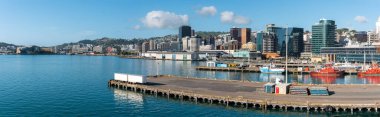 Wellington, Yeni Zelanda 'nın panoramik silueti