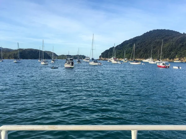 Plachetnice Zátoce Abel Tasman National Park Létě Nový Zéland — Stock fotografie