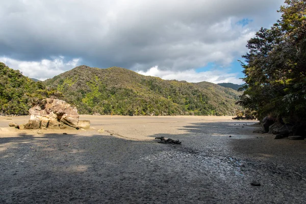 Baia Torrent Del Parco Nazionale Abel Tasman Estate Nuova Zelanda — Foto Stock