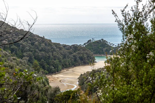 Utsikt Över Vik Abel Tasman National Park Nya Zeeland — Stockfoto