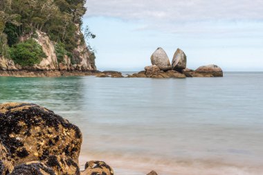 Yeni Zelanda 'daki Abel Tasman Ulusal Parkı' nın yakınındaki ünlü bölünmüş kaya parçası.