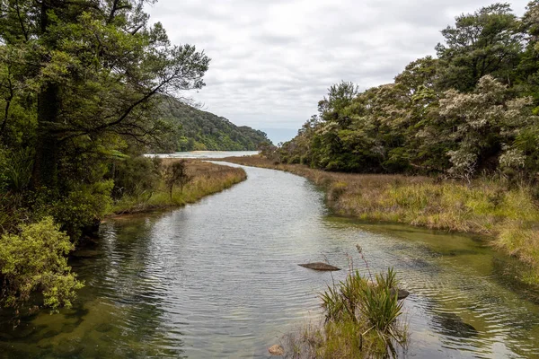 ニュージーランドのアベル タスマン国立公園の太平洋に流れる川 — ストック写真