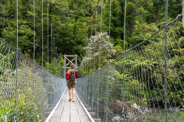 Abel Tasman 'ın asma köprüsünü geçmek Pist maliyetli ve manzaranın tadını çıkarıyor, Yeni Zelanda