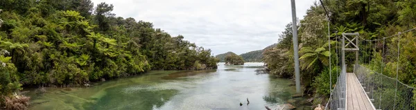 Panoramic View Suspension Bridge River Abel Tasman National Park New — Stock Photo, Image