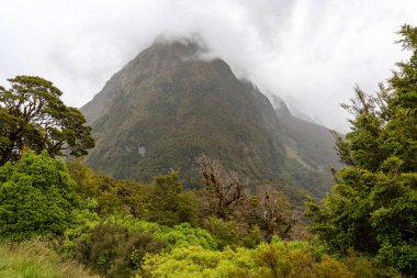 Etkileyici yağmur ormanları ve dağlarla çevrili güzel bulutlar, Milford Sound otoyolu, Yeni Zelanda 'nın güney adası