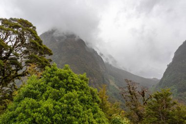 Etkileyici yağmur ormanları ve dağlarla çevrili güzel bulutlar, Milford Sound otoyolu, Yeni Zelanda 'nın güney adası