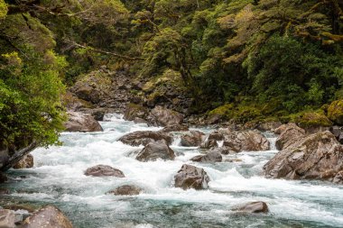 Dağlık Maymun Deresi, Yeni Zelanda 'nın güneyindeki Milford Sound karayolunun yanındaki etkileyici arazide akıyor.