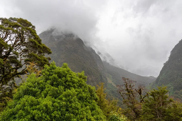 Beeindruckender Regenwald Und Berge Umgeben Von Schönen Wolken Milford Sound — Stockfoto