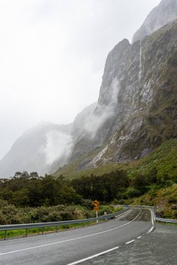 Yağmur ormanları, yağmurlu bir günde etkileyici yüksek dağlarla çevrilidir. Milford Sound karayolu, Yeni Zelanda 'nın Güney Adası.