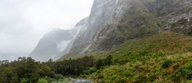Yağmur ormanları, yağmurlu bir günde etkileyici yüksek dağlarla çevrilidir. Milford Sound karayolu, Yeni Zelanda 'nın Güney Adası.