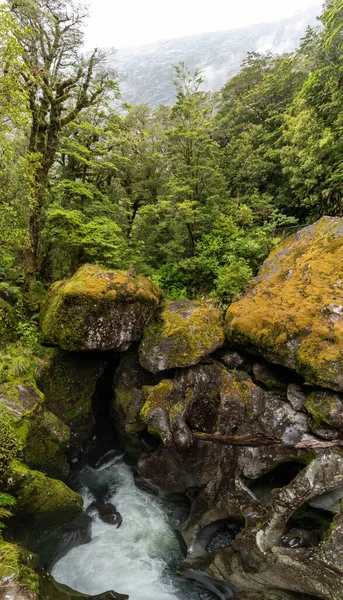 Famoso Desfiladeiro Chasm Com Rocha Lindamente Exteriorizada Milford Sound South — Fotografia de Stock