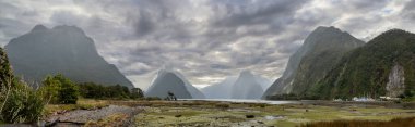 Milford Sound 'un muhteşem panoramik manzarası güzel bulutlu gökyüzü, Yeni Zelanda' nın Güney Adası
