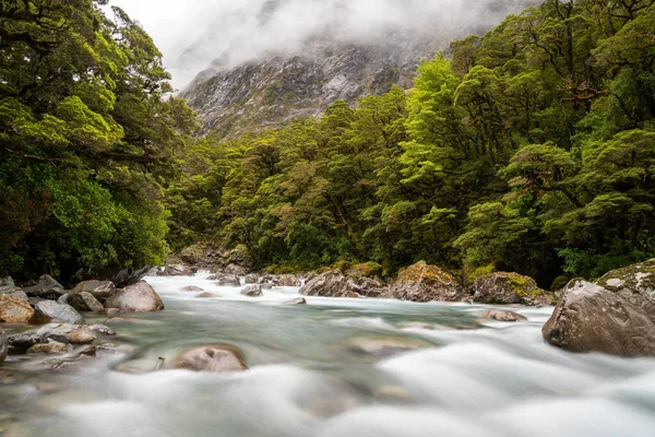 Berg Monkey Creek Flyter Genom Imponerande Landskap Intill Milford Sound — Stockfoto