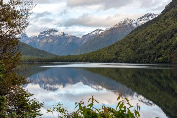 Lago Tranquilo Gunn Parque Nacional Fiordland Paisaje Que Refleja Superficie — Foto de Stock