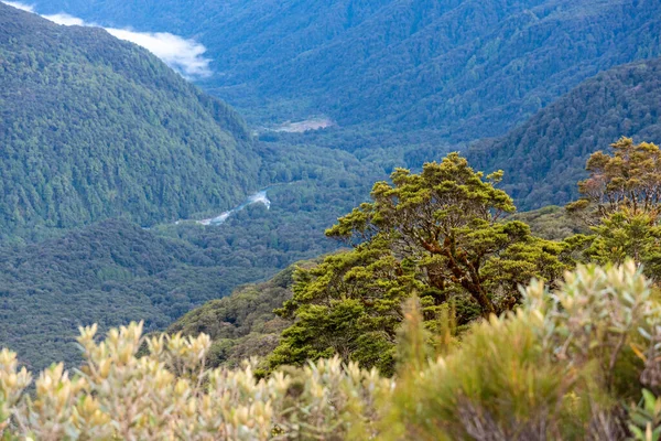 Majestátní Horská Krajina Slavné Trasy Routeburn Fiordland National Park Jižní — Stock fotografie