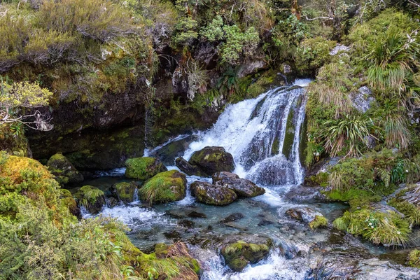 Egy Kis Patak Routeburn Pályán Zéland Déli Szigetén — Stock Fotó