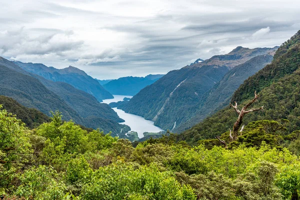 Vista Magnífico Sonido Dudoso Desde Mirador Isla Sur Nueva Zelanda —  Fotos de Stock