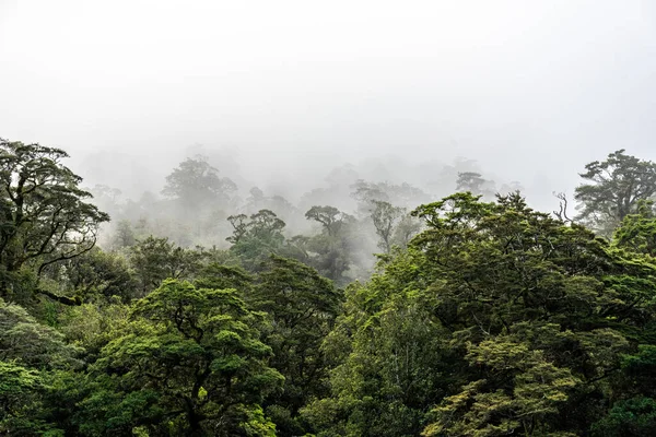 A new morning dawning at Doutful Sound, clouds hanging low in the mountains, South Island of New Zealand