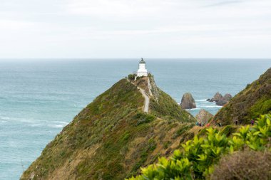 Yeni Zelanda 'nın Güney Adası Nugget Point' teki ünlü manzara ve deniz feneri.