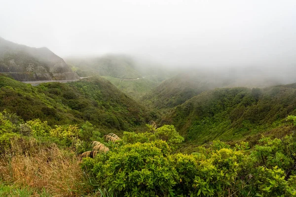 Scenic Berglandschap Bij Remutaka Kruising Noord Eiland Nieuw Zeeland — Stockfoto