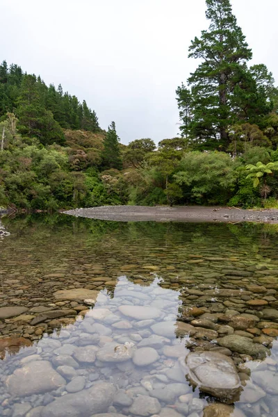 ニュージーランド北島タウヘニカウ川での雨林の反射 — ストック写真