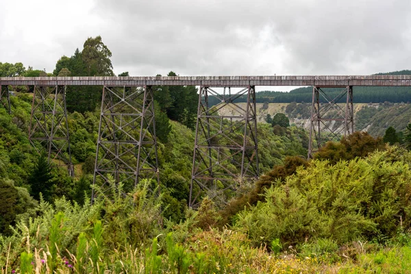 Ponte Ferroviária Velha Sobre Vale Ilha Norte Nova Zelândia — Fotografia de Stock