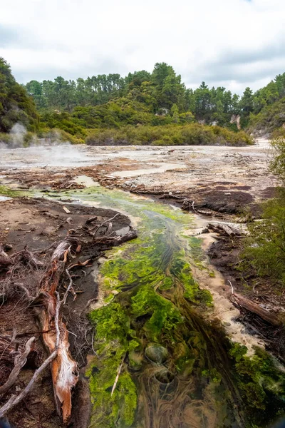 Природные Чудеса Waiotapu Thermal Wonderland Роторуа Новой Зеландии — стоковое фото