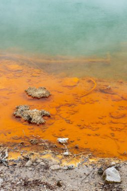 Waiotapu Termal Harikalar Diyarı 'nda Doğal Harikalar, Yeni Zelanda' da Rotorua