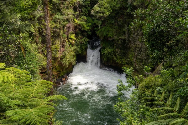 Cascade Caituna Folyónál Rotorua Közelében Zéland Északi Szigetén — Stock Fotó