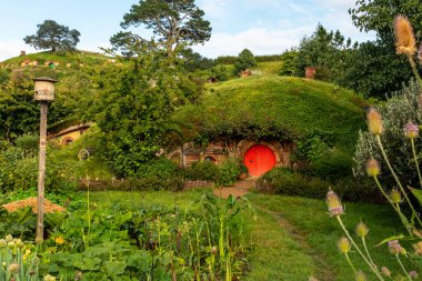 Matamata 'daki ünlü Hobbiton köyü The Hobbit and Lord of the Rings, Yeni Zelanda