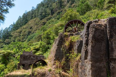 Karangahake 'deki eski bir pul bataryasının kalıntıları. Altına hücum zamanı, Coromandel yarımadası, Yeni Zelanda.
